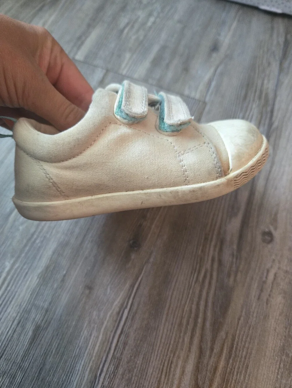 Ten Little Kids Canvas Hook-and-Loop Sneakers in Beige with Teal Accent